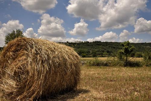 Nella Campagna pugliese